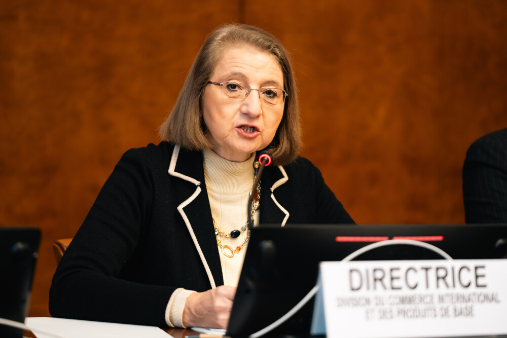 Multi-year Expert Meeting on Commodities and Development, 16th session