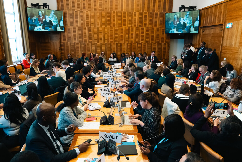 Human Rights Council (HRC 61)