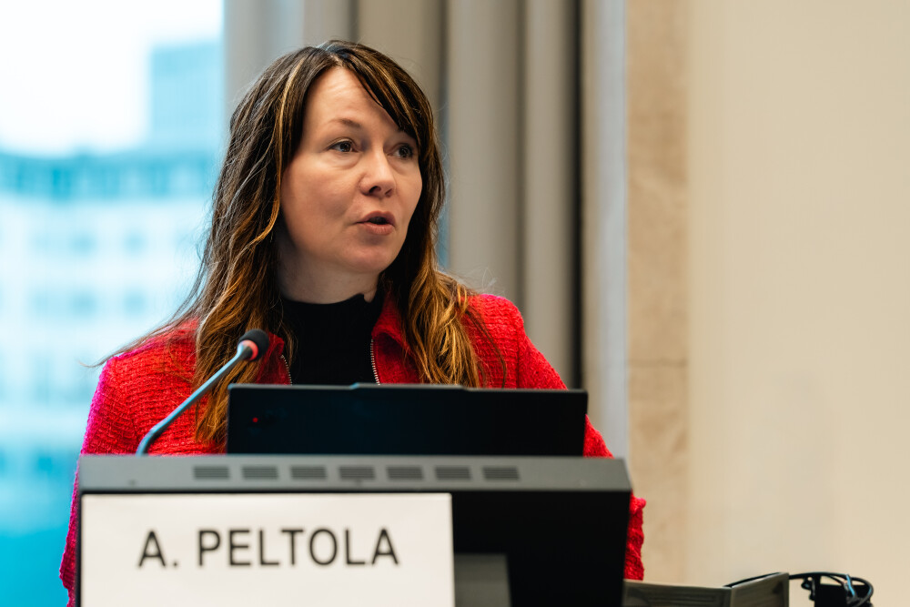 Working group on measuring e-commerce and the digital economy, 6th meeting