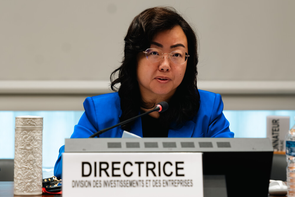 Intergovernmental working group of experts on international standards of accounting and reporting, 43rd session