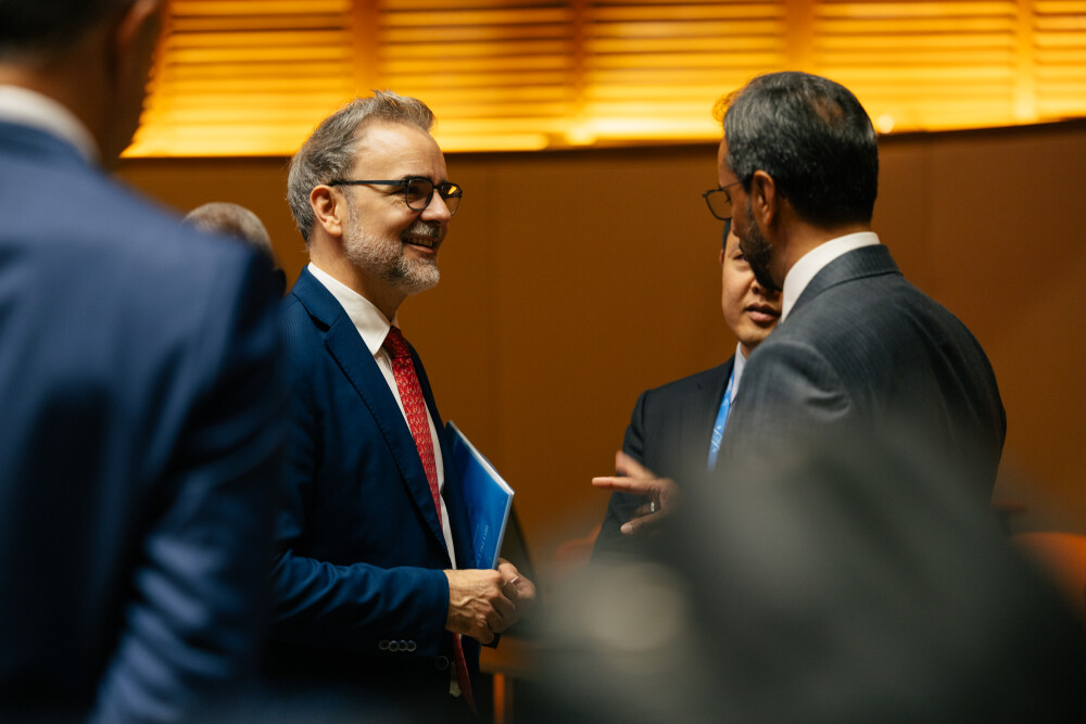 Governing Council meeting of the Borrowers' Platform