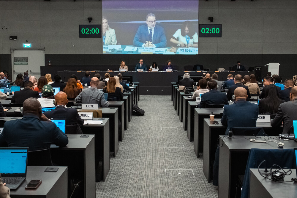9th Session of the Intergovernmental Group of Experts on E-commerce and the Digital Economy
