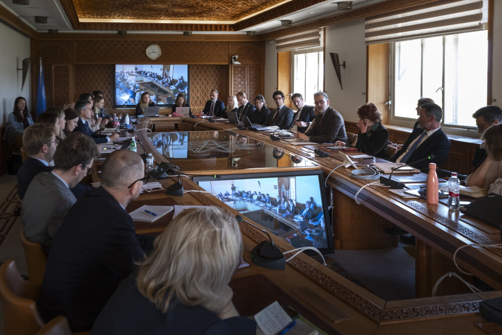 DSG at the Delegation of EU Working Party for the UN (CONUN)