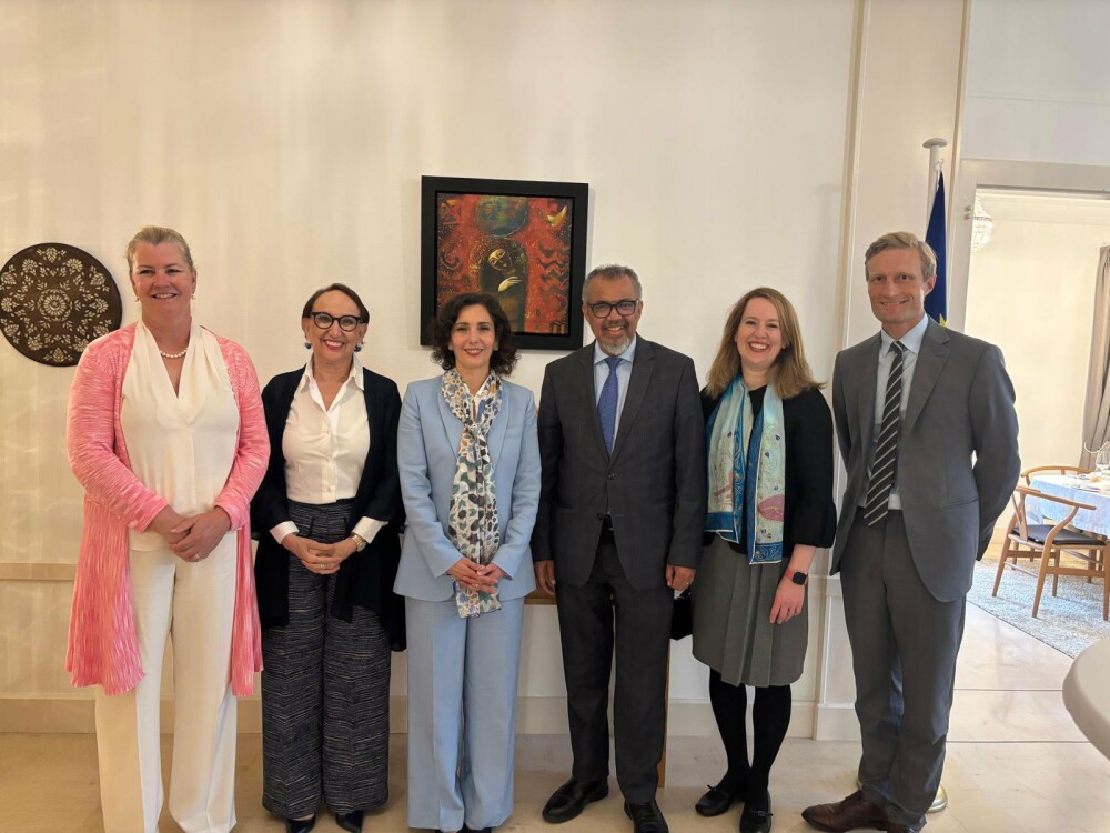 SG at the UN partners on the EU–UN strategic partnership
