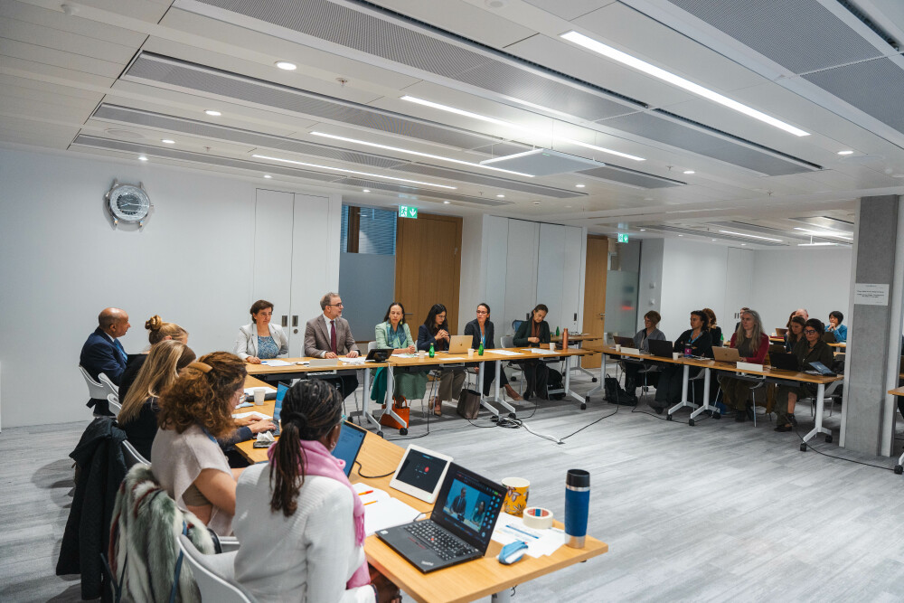 DSG at the High-Level Expert Group on Beyond GDP