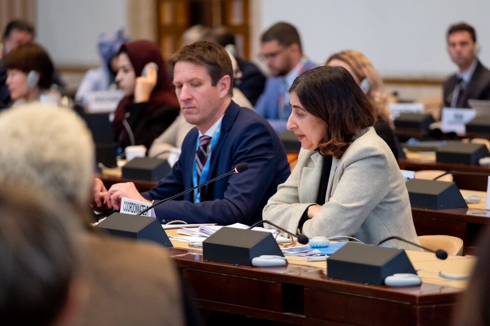 Secretary-General at Working Party on the Programme Plan