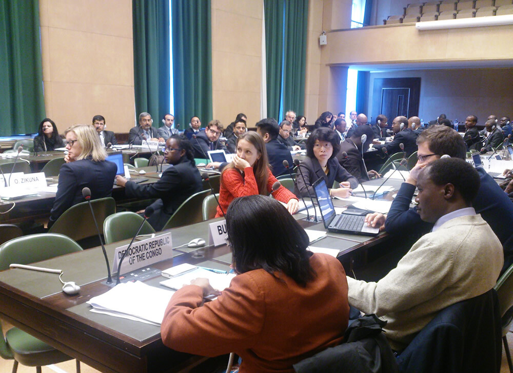 Expert Group Meeting for LDC on the preparation for the 9th WTO Ministerial Conference (Geneva, 11 November 2013)