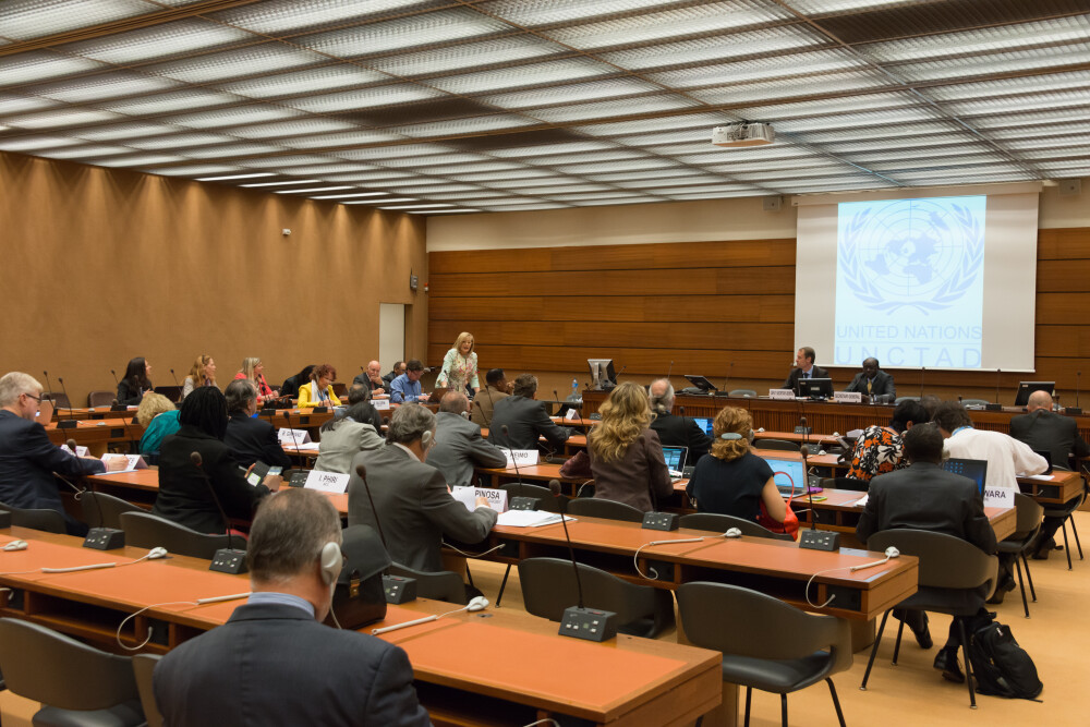 Civil Society meets UNCTAD S-G, 12 May 2015