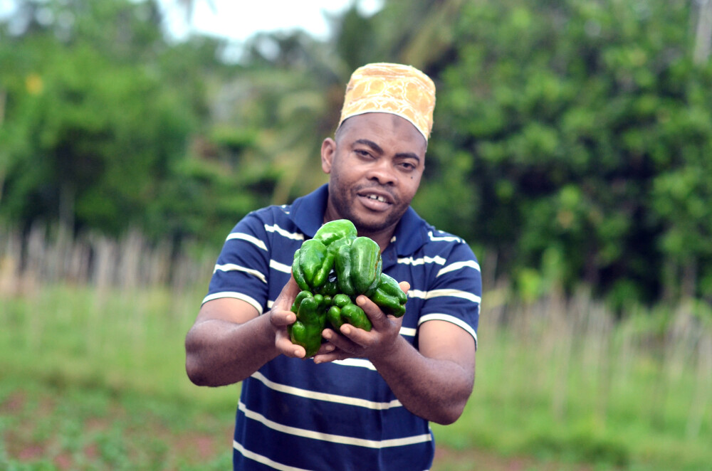 Trade and Productive Capacity in Tanzania