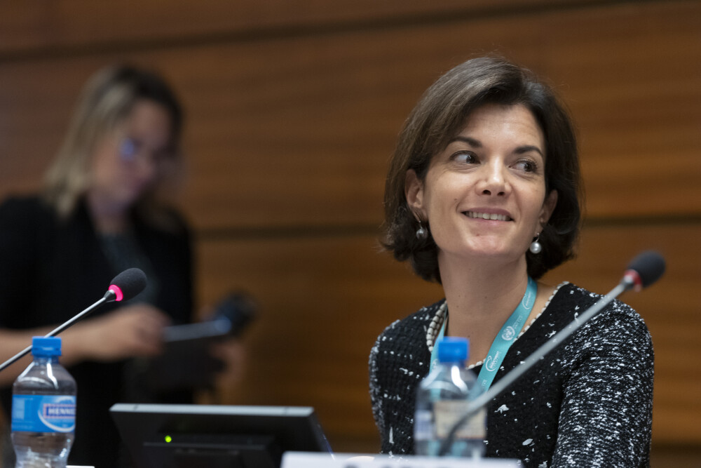 Sustainability Bonds: Innovative Tools for Financing the SDGs