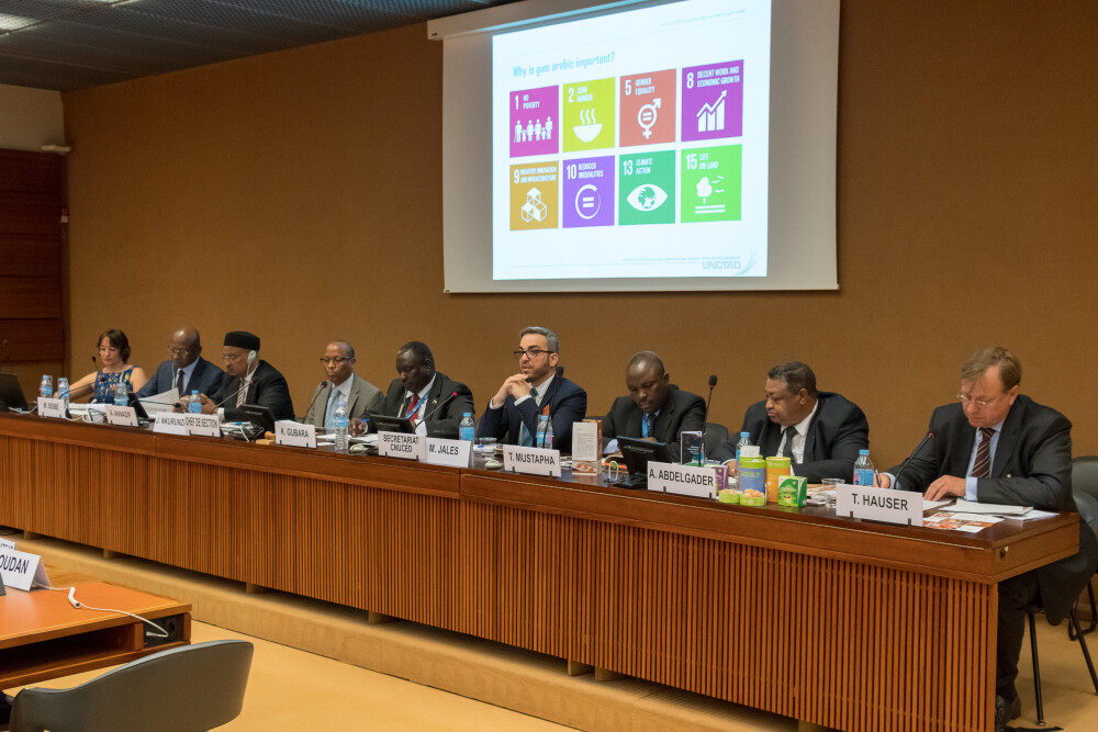 The Economics of Gum Arabic in Africa (27 April 2018)