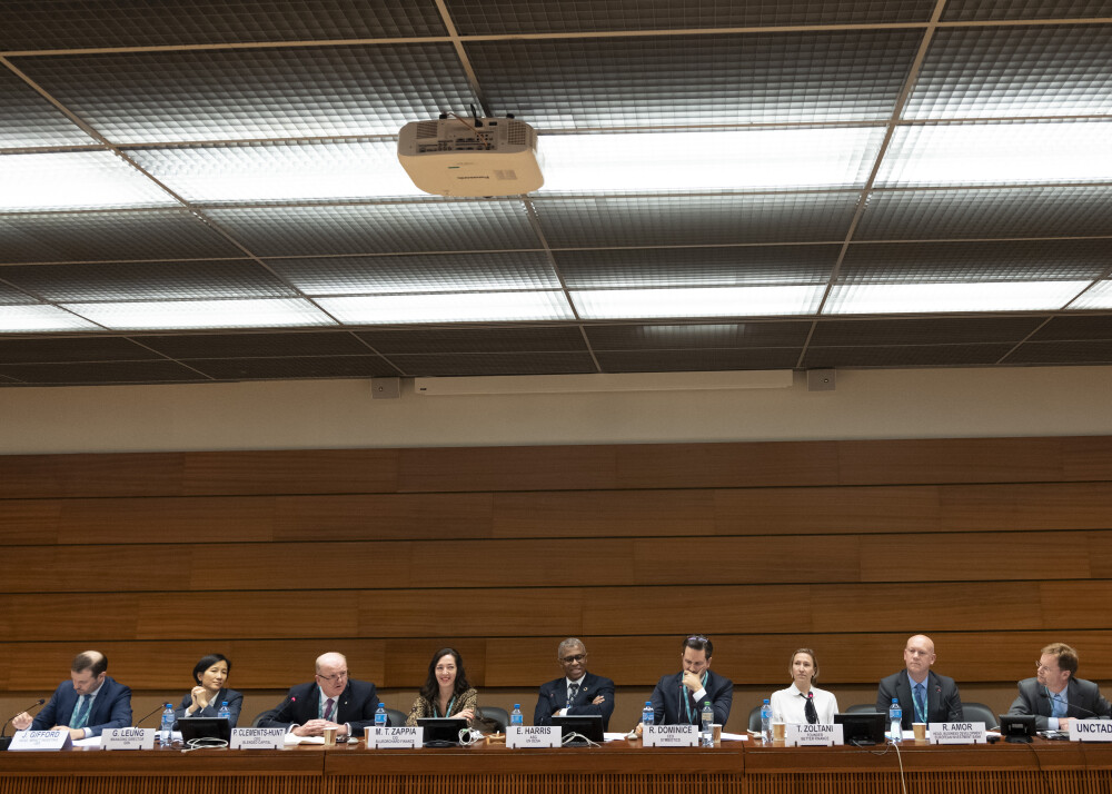 Using Blended Capital to Finance the SDGs