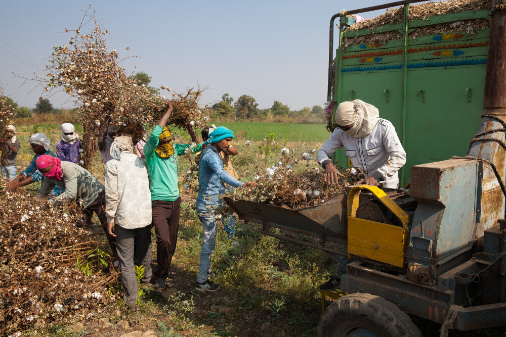 India Cotton By-products Study Tour (14-18 Jan 2019)