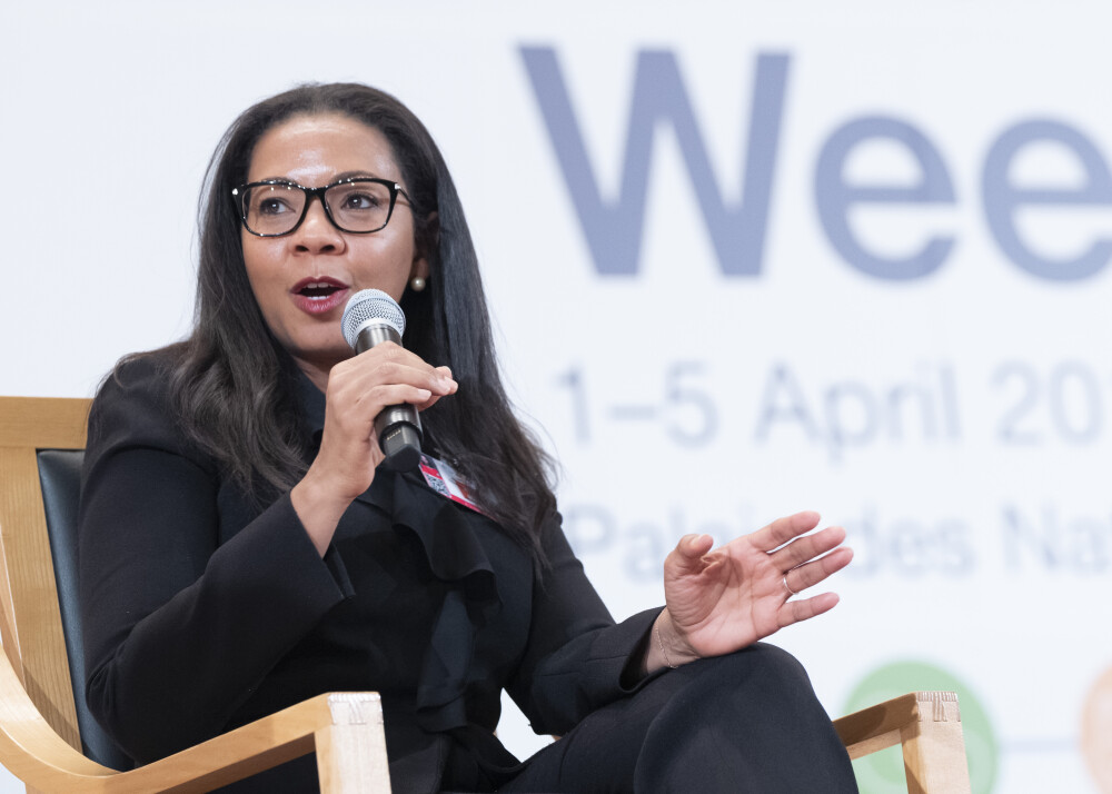High-level Dialogue from Digitilization to Development (2 April 2019)