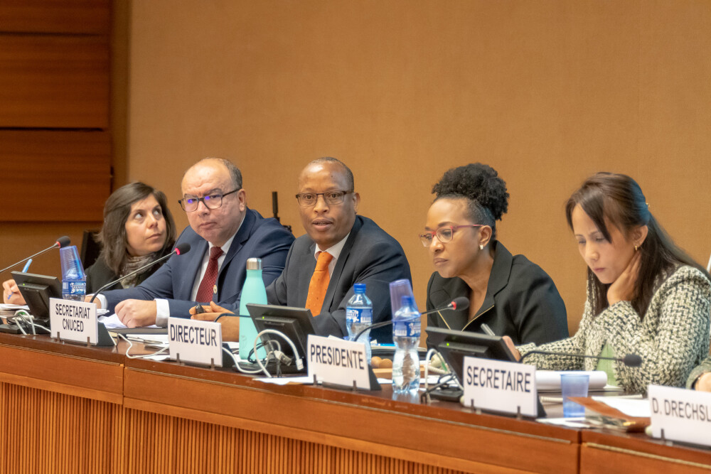 Expert Meeting on Commodities and Development (15-16 April 2019)