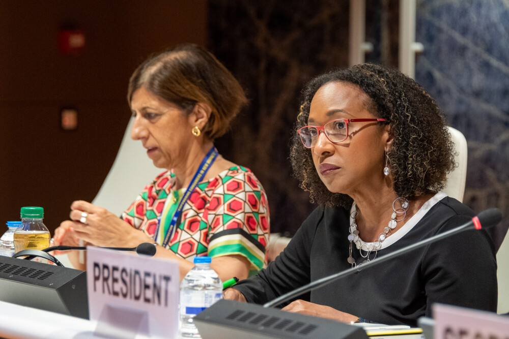 IGE on Consumer Protection Law and Policy (8-9 July 2019)