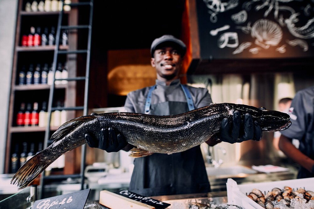 Entrepreneurship for Migrants and Refugees