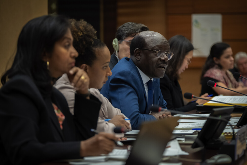 Trade and Development Commission (25-29 November 2019)
