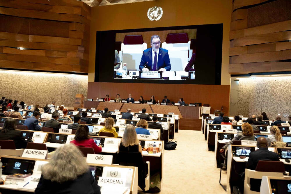 Intergovernmental Group of Experts on Consumer Protection Law and Policy, 8th session