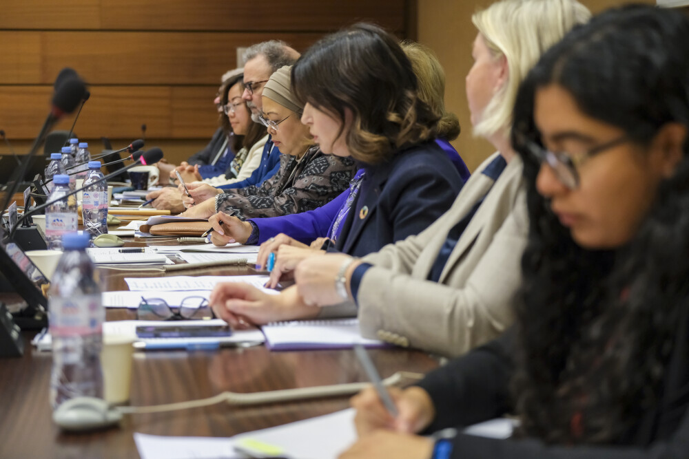 Expert Meeting on Investment, Innovation and Entrepreneurship for Productive Capacity-building and Sustainable Development, 11th session