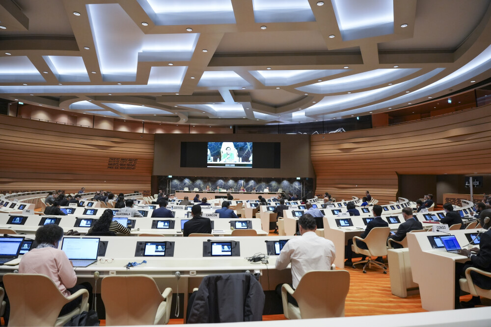 Expert Meeting on Commodities and Development, 15th session