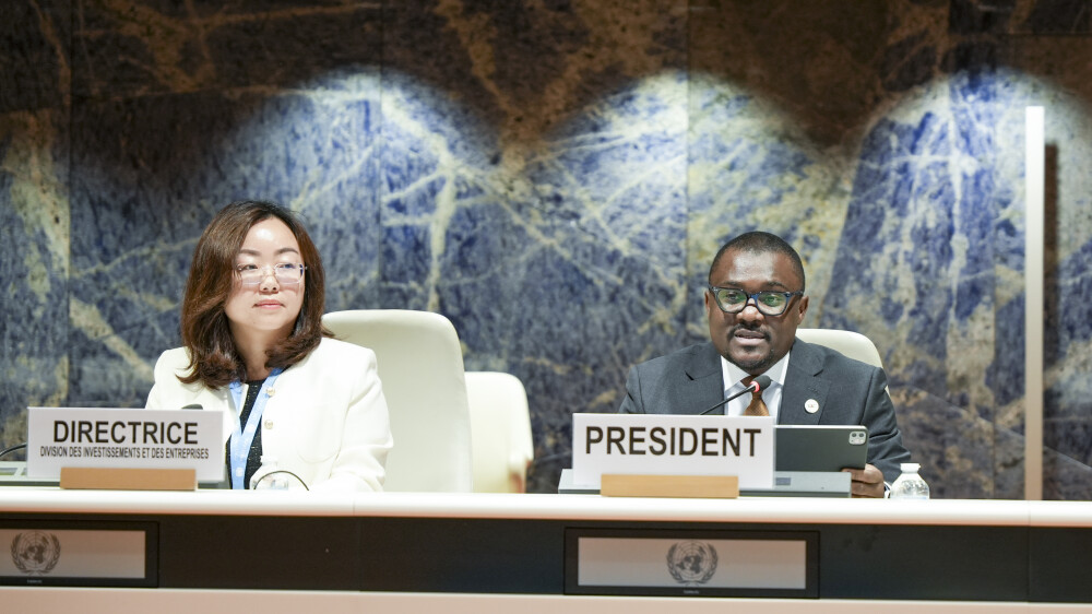 Intergovernmental working group of experts on international standards of accounting and reporting, 41st session