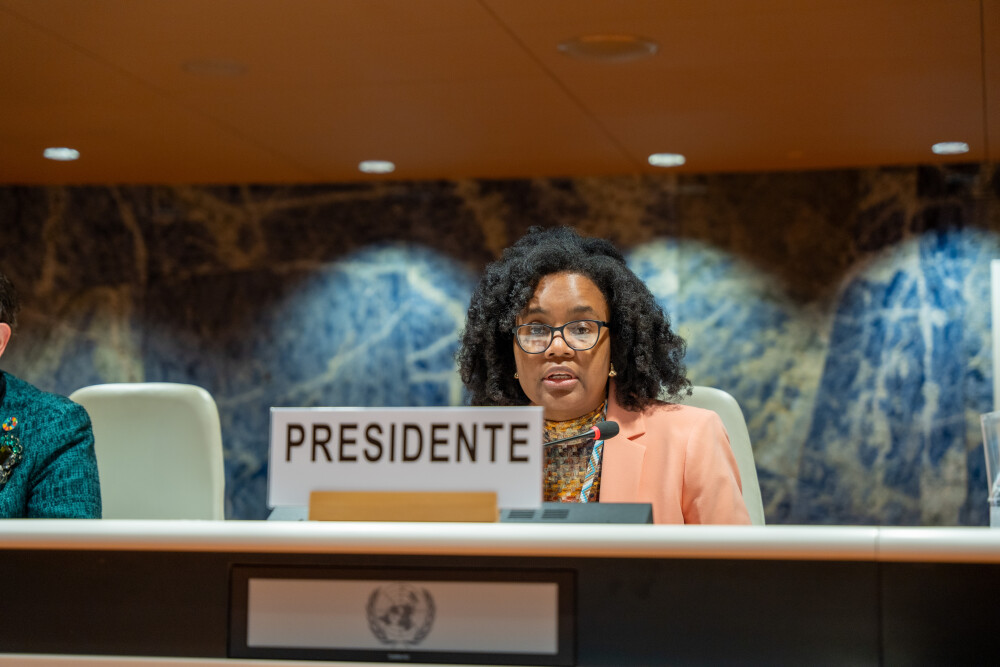 Intergovernmental Group of Experts on Financing for Development, 8th session