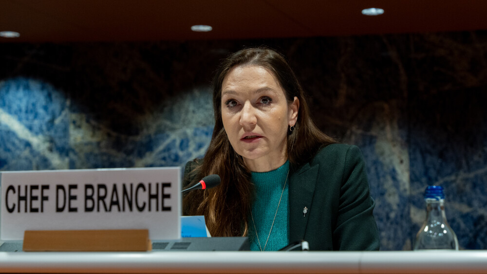 Trade and Development Board, 77th executive session