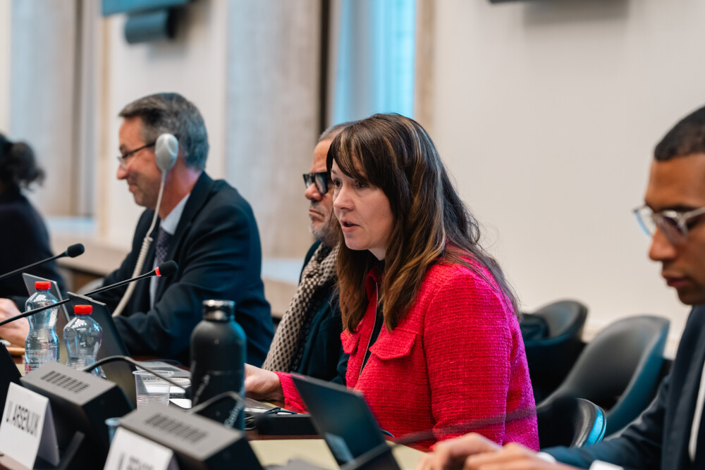 Working group on measuring e-commerce and the digital economy, 6th meeting
