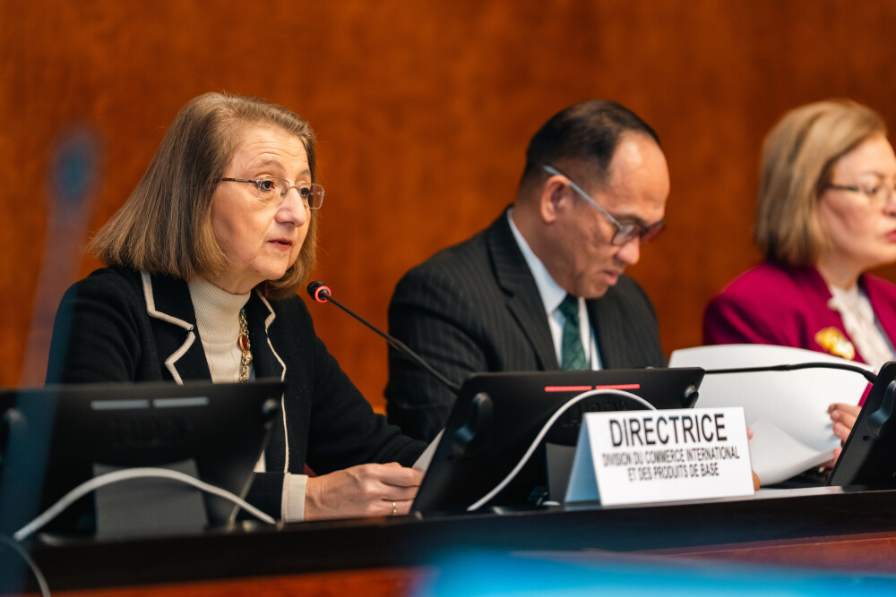 Multi-year Expert Meeting on Commodities and Development, 16th session