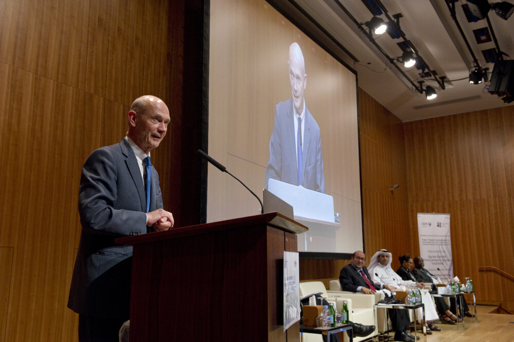 Free trade agreements: necessary but not sufficient – lessons from the Arab region