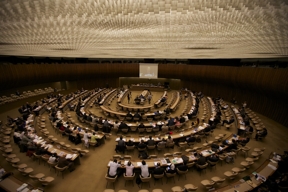 Public Symposium: Opening Session and Plenary Session I (24 June 2013)