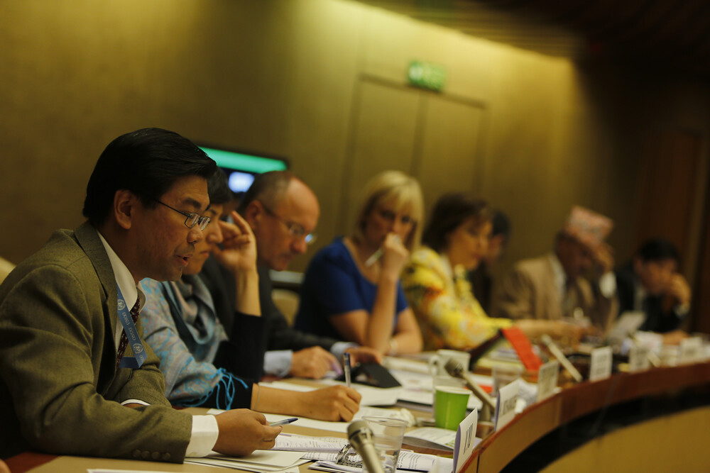 Public Symposium: Plenary Session II  (25 June 2013)